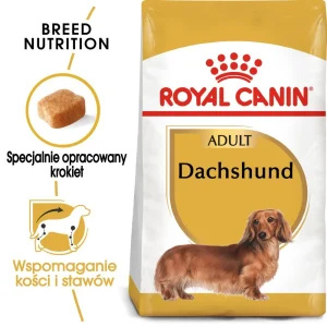 ROYAL CANIN Dachshund karma sucha dla psów dorosłych rasy jamnik 500g