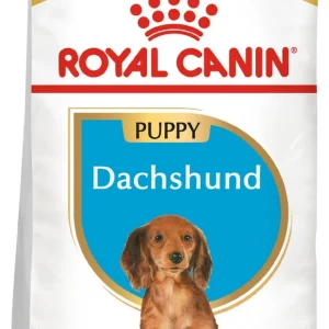 ROYAL CANIN Dachshund Puppy 1,5kg karma sucha dla szczeniąt do 10 miesiąca, rasy jamnik