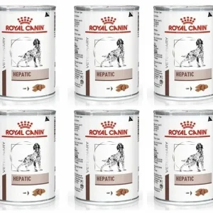 Royal Canin Dog Hepatic 6 puszek 420 g