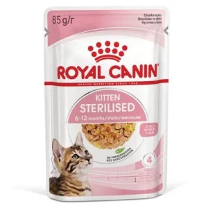 Royal Canin FHN Sterilised Kitten w galarecie