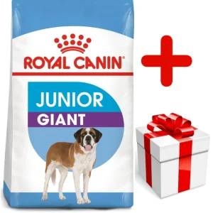 ROYAL CANIN Giant Junior 15kg karma sucha dla szczeniąt od 8 do 18/24 miesiąca życia, ras olbrzymich + niespodzianka dla psa GRATIS!