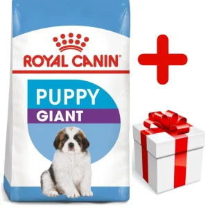 ROYAL CANIN Giant Puppy 15kg karma sucha dla szczeniąt, od 2 do 8 miesiąca życia, ras olbrzymich + niespodzianka dla psa GRATIS!