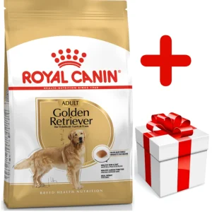 ROYAL CANIN Golden Retriever Adult 12kg karma sucha dla psów dorosłych rasy golden retriever + niespodzianka dla psa GRATIS!