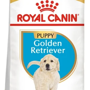 ROYAL CANIN Golden Retriever Puppy 12kg karma sucha dla szczeniąt do 15 miesiąca, rasy golden retriever
