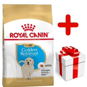 ROYAL CANIN Golden Retriever Puppy 12kg + niespodzianka dla psa GRATIS!