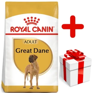 ROYAL CANIN Great Dane Adult 12kg karma sucha dla psów dorosłych rasy dog niemiecki + niespodzianka dla psa GRATIS!