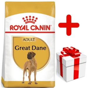 ROYAL CANIN Great Dane Adult 12kg karma sucha dla psów dorosłych rasy dog niemiecki + niespodzianka dla psa GRATIS!