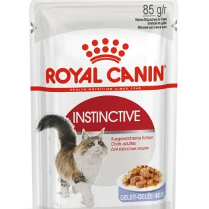 ROYAL CANIN Instinctive 12x85g w galaretce karma mokra w galaretce dla kotów dorosłych, wybrednych