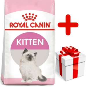 ROYAL CANIN Kitten 10kg karma sucha dla kociąt od 4 do 12 miesiąca życia + niespodzianka dla kota GRATIS!