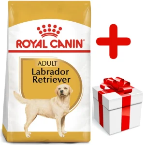 ROYAL CANIN Labrador Retriever Adult 12kg karma sucha dla psów dorosłych rasy labrador retriever + niespodzianka dla psa GRATIS!