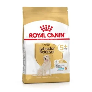 Royal Canin Labrador Retriever Adult 5+ ► Zamów teraz ✔
