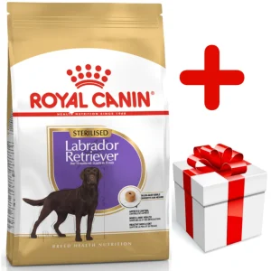 ROYAL CANIN Labrador Retriever Sterilised Adult 12kg + niespodzianka dla psa GRATIS!