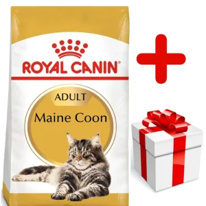 ROYAL CANIN Maine Coon Adult 10kg + niespodzianka dla kota GRATIS!
