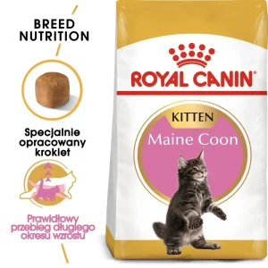 ROYAL CANIN Maine Coon Kitten 400g karma sucha dla kociąt, do 15 miesiąca, rasy maine coon