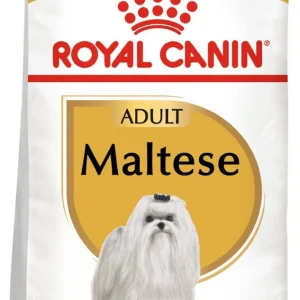 ROYAL CANIN Maltese Adult 500g karma sucha dla psów dorosłych rasy maltańczyk