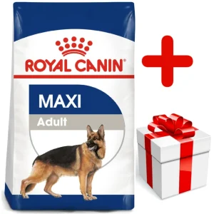 ROYAL CANIN Maxi Adult 15kg karma sucha dla psów dorosłych, do 5 roku życia, ras dużych + niespodzianka dla psa GRATIS!