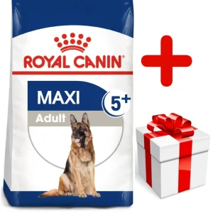 ROYAL CANIN Maxi Adult 5+ 15kg karma sucha dla psów starszych, od 5 do 8 roku życia, ras dużych + niespodzianka dla psa GRATIS!