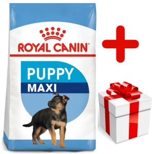ROYAL CANIN Maxi Puppy 15kg karma sucha dla szczeniąt, od 2 do 15 miesiąca życia, ras dużych + niespodzianka dla psa GRATIS!
