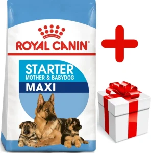 ROYAL CANIN Maxi Starter Mother&Babydog 15kg + niespodzianka dla psa GRATIS!