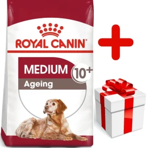 ROYAL CANIN Medium Ageing 10+ 15kg karma sucha dla psów dojrzałych po 10 roku życia, ras średnich + niespodzianka dla psa GRATIS!