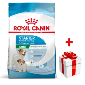 ROYAL CANIN Mini Starter Mother & Babydog 1kg karma sucha dla suk w ciąży i okresie laktacji oraz szczeniąt, od 4 do 8 tygodnia, ras małych + niespodzianka dla psa GRATIS!