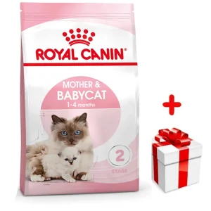 ROYAL CANIN Mother&Babycat 4kg karma sucha dla kotek w okresie ciąży, laktacji i kociąt od 1 do 4 miesiąca życia + niespodzianka dla kota GRATIS!