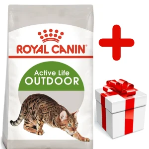 ROYAL CANIN Outdoor 30 10kg karma sucha dla kotów dorosłych, wychodzących na zewnątrz + niespodzianka dla kota GRATIS!