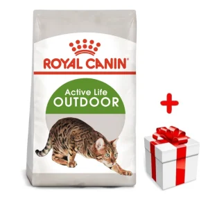 ROYAL CANIN Outdoor 30 4kg karma sucha dla kotów dorosłych, wychodzących na zewnątrz + niespodzianka dla kota GRATIS