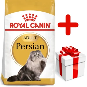 ROYAL CANIN Persian Adult 10kg karma sucha dla kotów dorosłych rasy perskiej + niespodzianka dla kota GRATIS!
