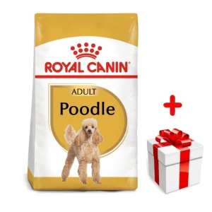 ROYAL CANIN Poodle Adult 1,5kg karma sucha dla psów dorosłych rasy pudel miniaturowy + niespodzianka dla psa GRATIS