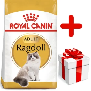 ROYAL CANIN Ragdoll Adult 10kg karma sucha dla kotów dorosłych rasy ragdoll + niespodzianka dla kota GRATIS!