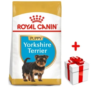 ROYAL CANIN Yorkshire Terrier Puppy 1,5kg karma sucha dla szczeniąt do 10 miesiąca, rasy yorkshire terrier + niespodzianka dla psa GRATIS!