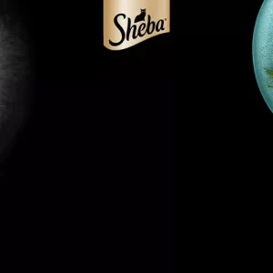 Sheba