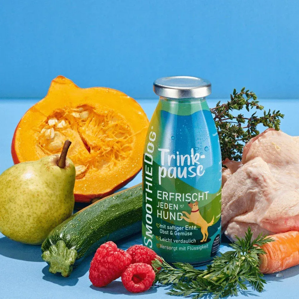 SMOOTHIE DOG Regenerująca Przekąska dla Psa 250ml 100% Naturlane - Image 2