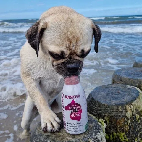SMOOTHIE DOG Sensitivo Konina Przekąska dla psa 250ml 100% Naturalna - Image 2