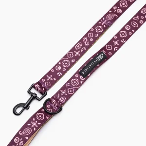 Smycz miejska dla psa lub kota "Bandana no drama" BAK艁A呕AN