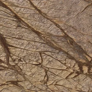 STONE LINE tło kamienne Marmur Amazonia 122×61 cm