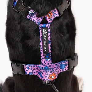 Szelki guard Stay on "Doggy style"