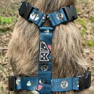Szelki guard Stay on "Psutomaki"