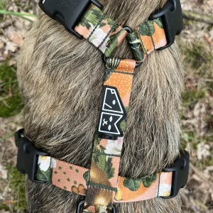 Szelki guard Stay on "Wie wi贸rka co dobre"
