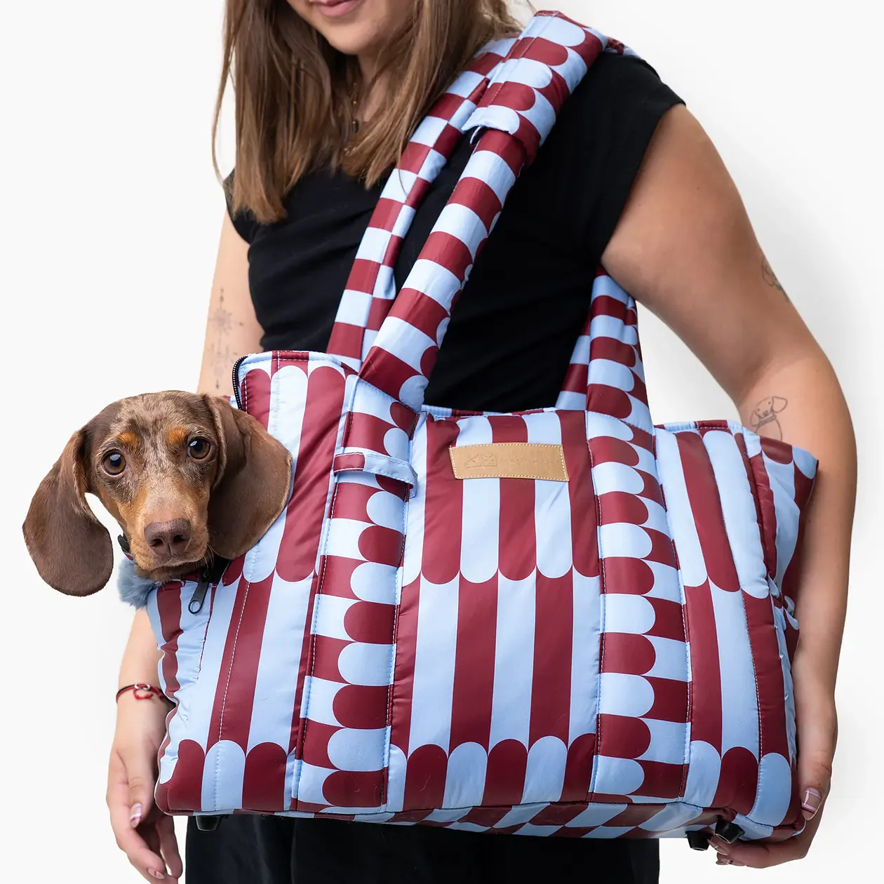 Torba soft typu Tote/ Torba transportowa dla ma艂ego psa 2w1
