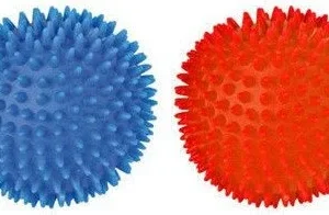 TRIXIE piłka jeżowa 10cm piszcząca