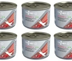 Trovet Cat RID Renal & Oxalate Lamb 6 x 200 g mokra dieta nerkowa dla kotów
