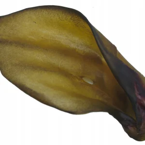 Ucho Wołowe Naturalne Dla Psa Duże 20 cm
