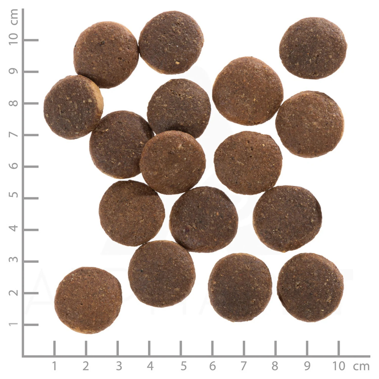 Wolfsblut Dog Red Rock – Kangur & Bataty - Image 2