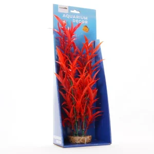 Yusee Roślina – Alternanthera Red 35cm