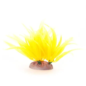 Yusee Roślina – Długolistna Żółta wys. 12-15cm