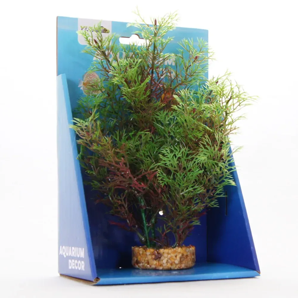 Yusee Roślina – Kabomba Czerwona 20cm