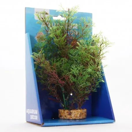Yusee Roślina – Kabomba Czerwona 20cm - Image 2