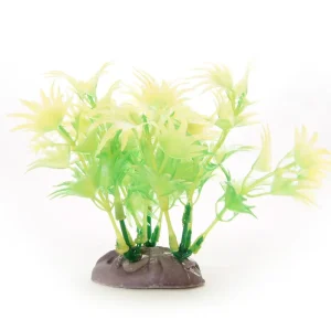 Yusee Roślina – Moczarka wys. 12-15cm